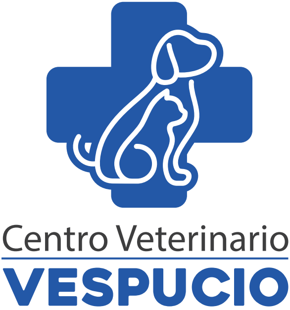 Vespucio